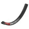 DT Swiss XM481 Rim